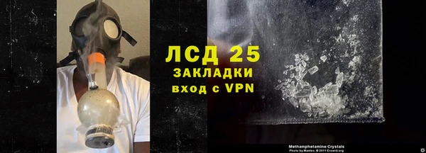 ГАЛЛЮЦИНОГЕННЫЕ ГРИБЫ Балабаново