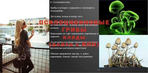 ГАЛЛЮЦИНОГЕННЫЕ ГРИБЫ Балабаново