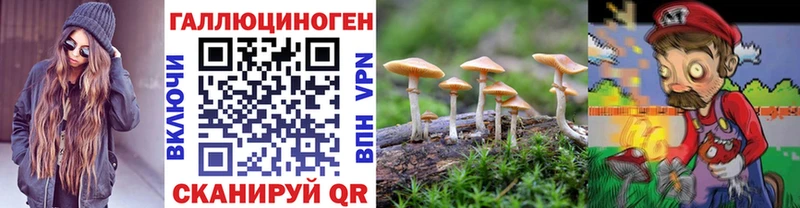 Галлюциногенные грибы Cubensis  Шелехов 